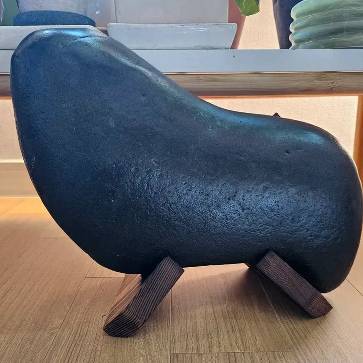 [BUNJANG] Rare Seal-Shaped Natural Stone / 명품물개석(자연석)