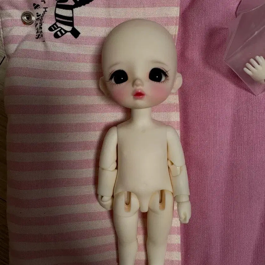 [BUNJANG] Titiya Pocket Jeje Ball-Jointed Doll Complete Set / 구관 구체관절인형 티티야 포켓 제제 모든물품포함