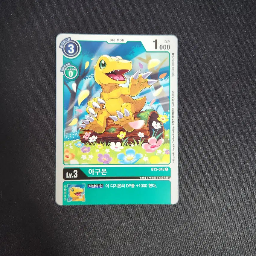 [BUNJANG] Digimon Card Bundle Set / 디지몬카드 일괄판매