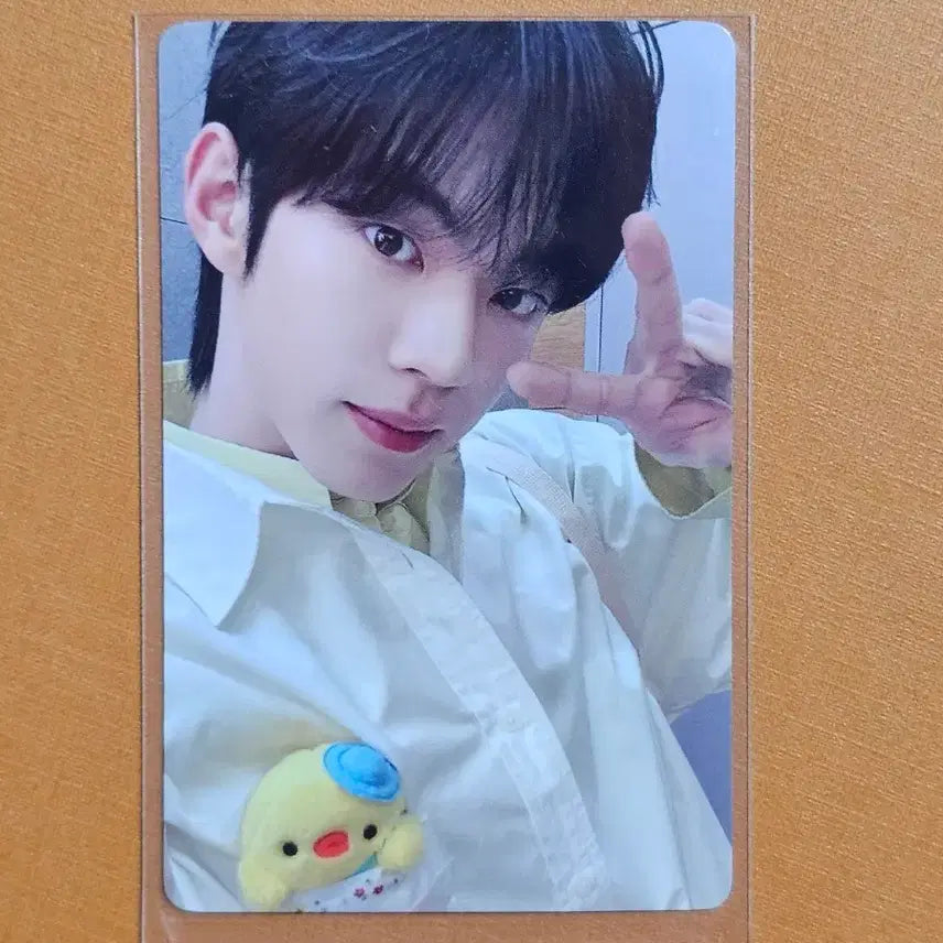 [BUNJANG] TWS Dohoon POB Photocard Last Bell / 이즈위 칭다오 대면 투어스 도훈 불참 미공포 라스트벨