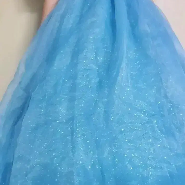 [BUNJANG] Cinderella Princess Dress Rental / 신데렐라 드레스