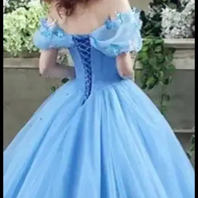 [BUNJANG] Cinderella Princess Dress Rental / 신데렐라 드레스