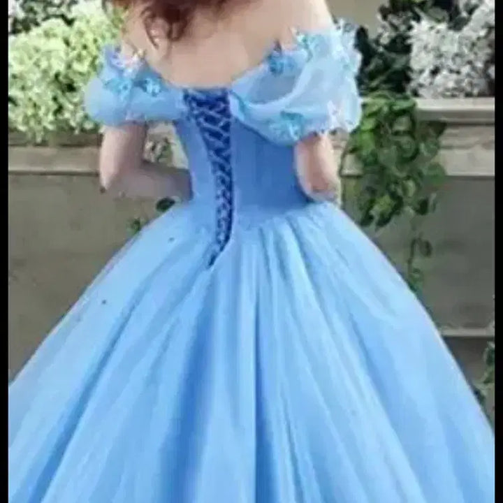 [BUNJANG] Cinderella Princess Dress Rental / 신데렐라 드레스