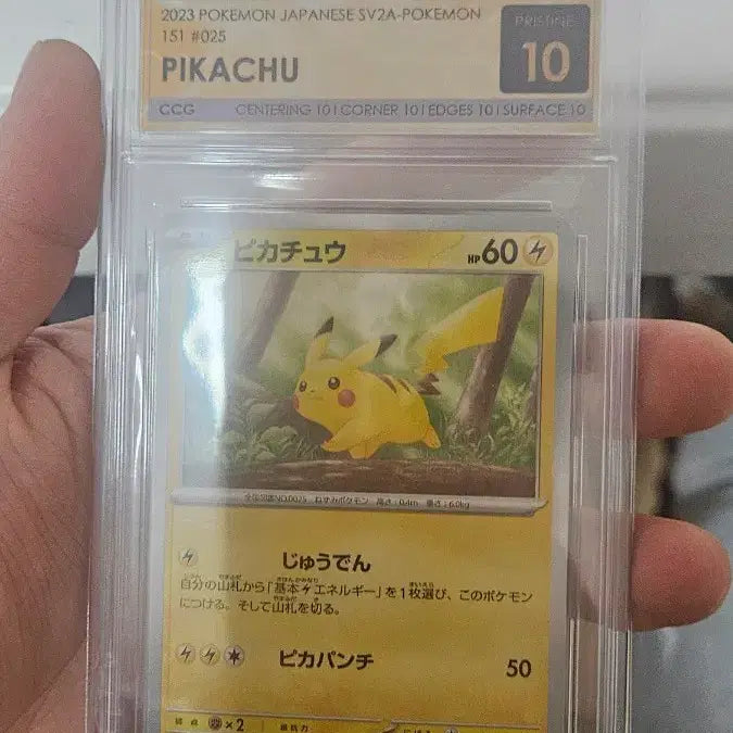 [BUNJANG] Pikachu Card CCG Pristine 10 / 피카츄 카드 ccg 프레스틴 10