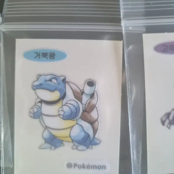 [BUNJANG] 30th Anniversary Pokemon Bread Tortoise Pokemon Sticker / 30주년 뉴 포켓몬 빵 띠부띠부씰 거북왕