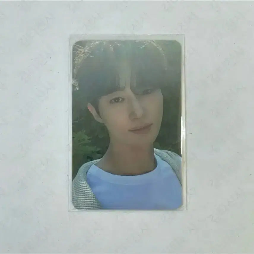 [BUNJANG] Byeon Woo Seok Celadon Shark Photocard / 변우석 청상아리 포카