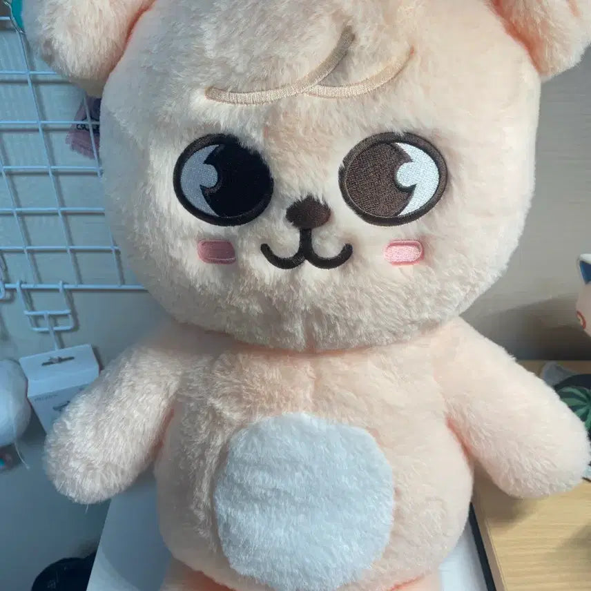 [BUNJANG] Schiesser Perfim Teddy Bear / (수수료포함가격) 스키주 퍼핌 테디베어 양도합니다