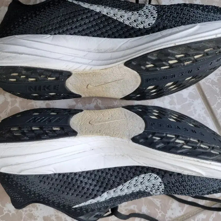 [BUNJANG] Nike Pegasus Plus Women&