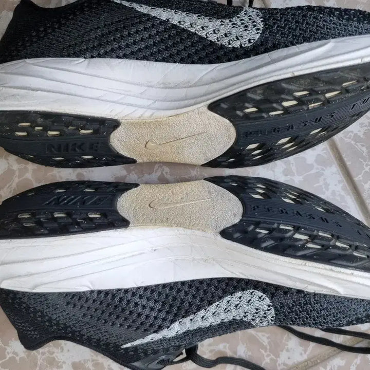 [BUNJANG] Nike Pegasus Plus Women&