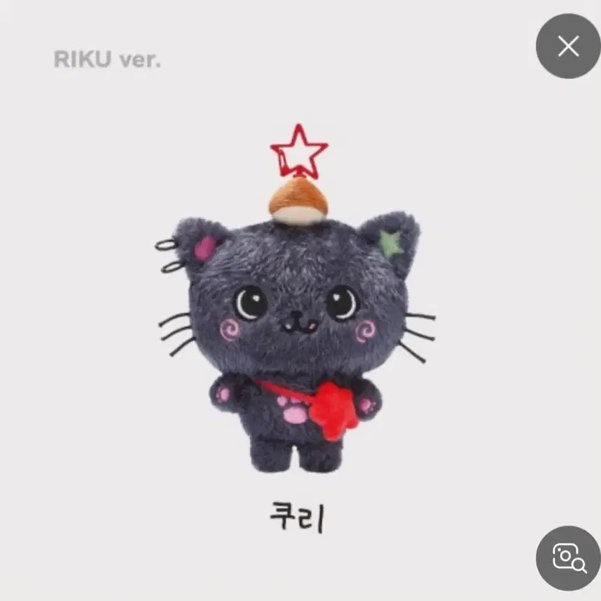 [SOLD OUT] 위시돌 쿠리 미개봉