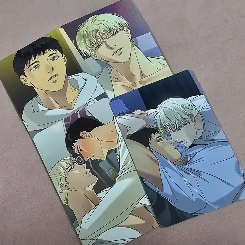 [BUNJANG] Backlight Photocard Bundle Set (4 types) / 백라이트 포카 컬포 4종 일괄