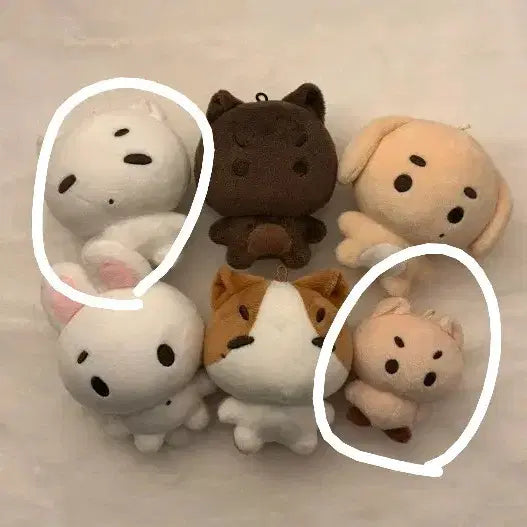 [BUNJANG] TWS Shinyu Kyungmin Doll Bundle Set / 일괄 양도) 투어스 신유 경민 인형 톨어스 뉴톨이 유톨이 햄미니