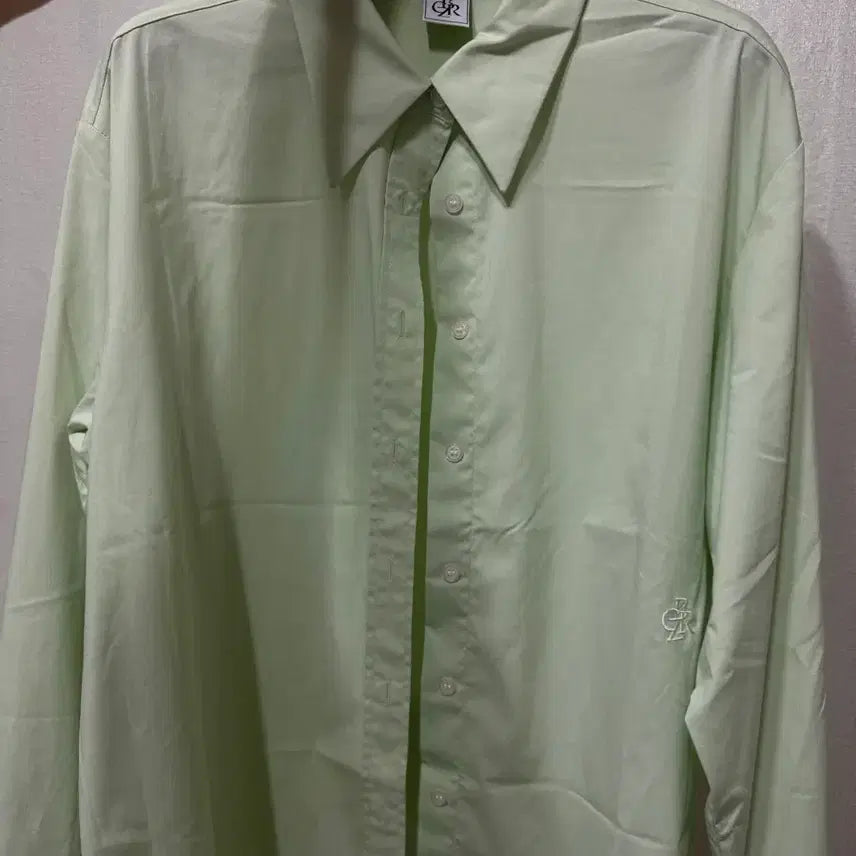 [BUNJANG] Citybreeze Wrinkle-Free Basic Shirt (Light Green) / 시티브리즈 링클 프리 베이직 셔츠 (light green)