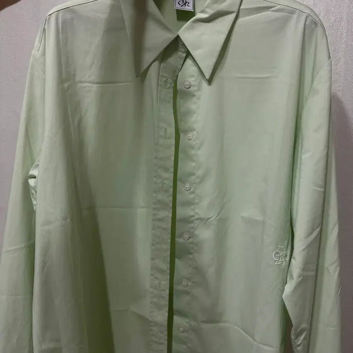 [BUNJANG] Citybreeze Wrinkle-Free Basic Shirt (Light Green) / 시티브리즈 링클 프리 베이직 셔츠 (light green)