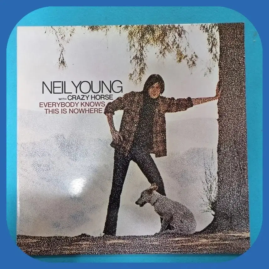 [BUNJANG] Nil Young The Crazy Horse LP Mint Condition / 닐영  THE CRAZY HORSE LP M/M