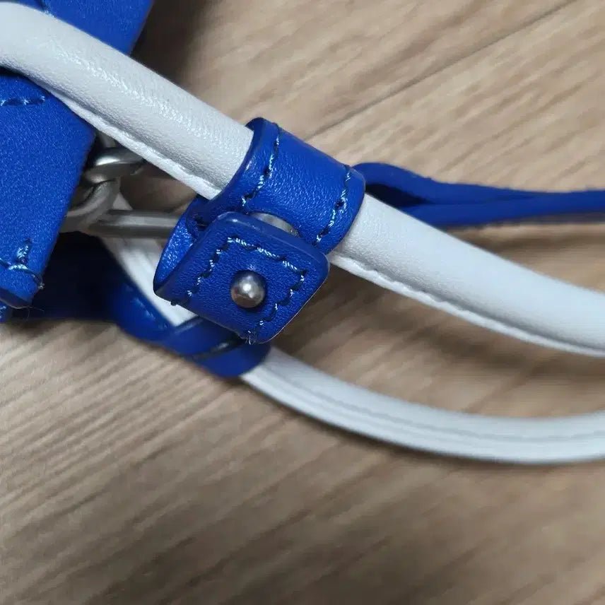 [BUNJANG] Ader Error Blue Mini Crossbody Bag / 아더에러 블루 미니 크로스백