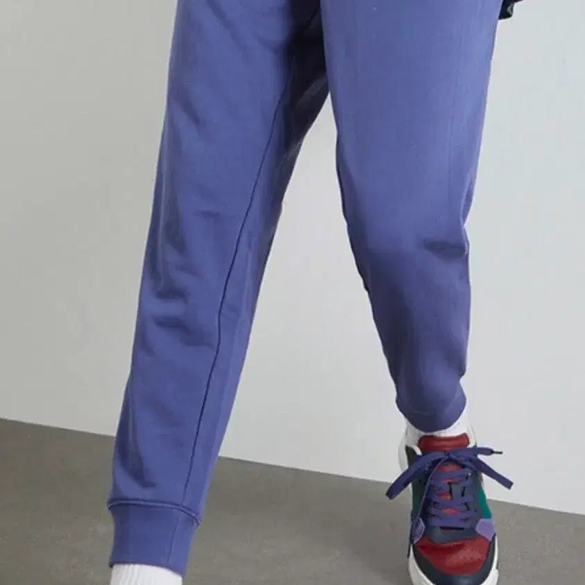 [BUNJANG] Tommy Hilfiger Basic Regular Sweatpants / [새상품] 타미 베이직 레귤러 스웨트팬츠