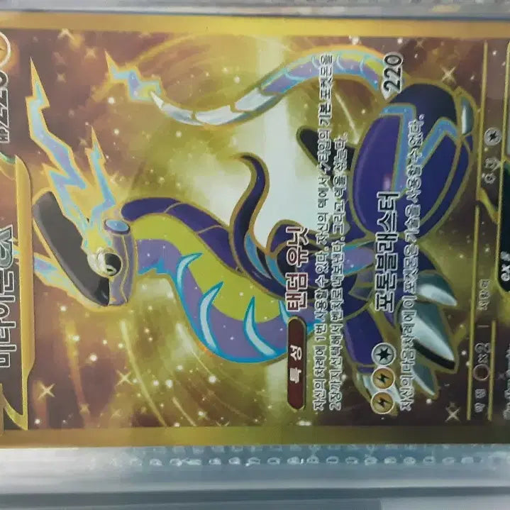 [BUNJANG] Miraidon Gold Card / 미라이돈 카드 팝니다