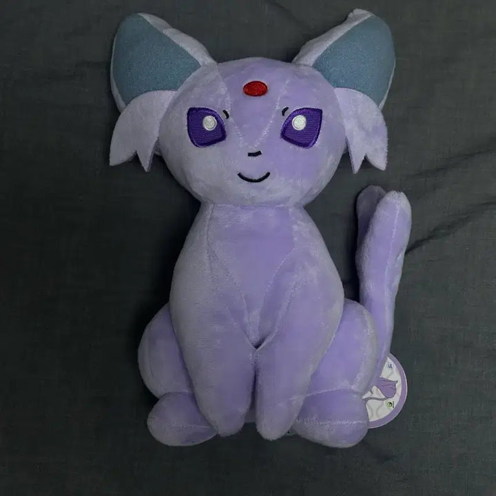 [BUNJANG] Pokemon Eevee Plush New / 포켓몬 에브이 인형 새상품