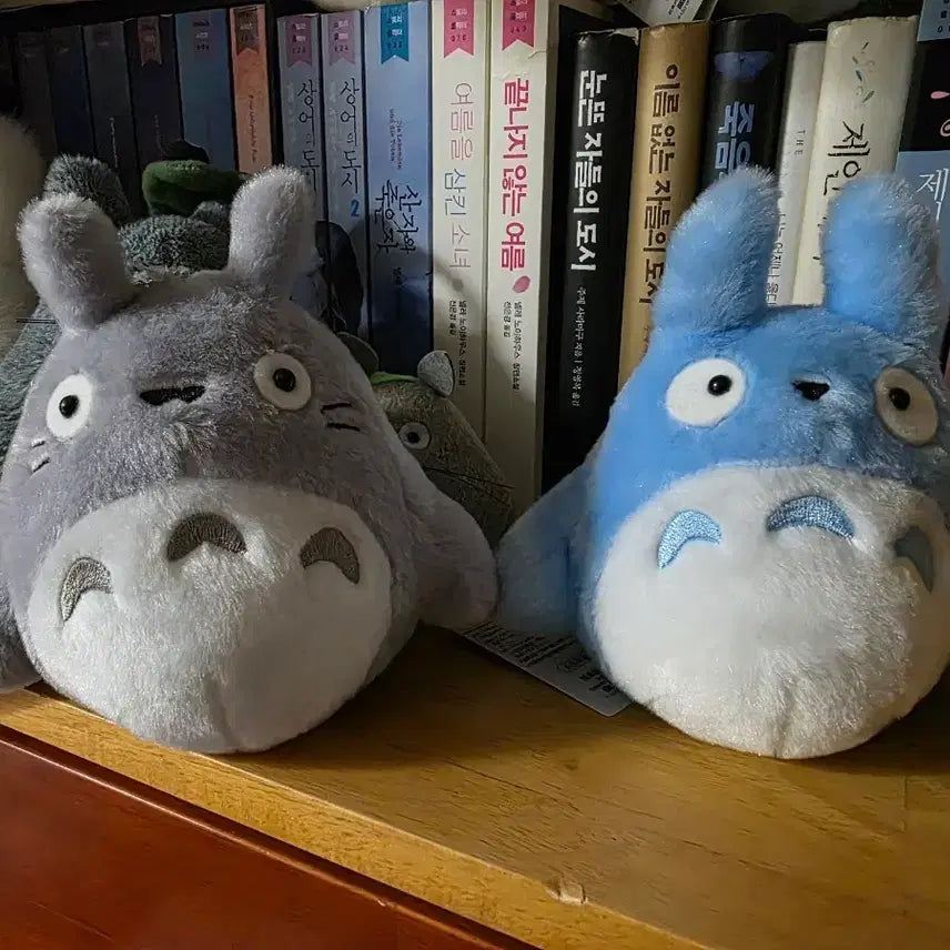 [BUNJANG] My Neighbor Totoro Plush Keyring &amp; Badge (Chung Totoro, Dae Totoro) / 중토토로 대토토로 인형키링 겸 뱃지