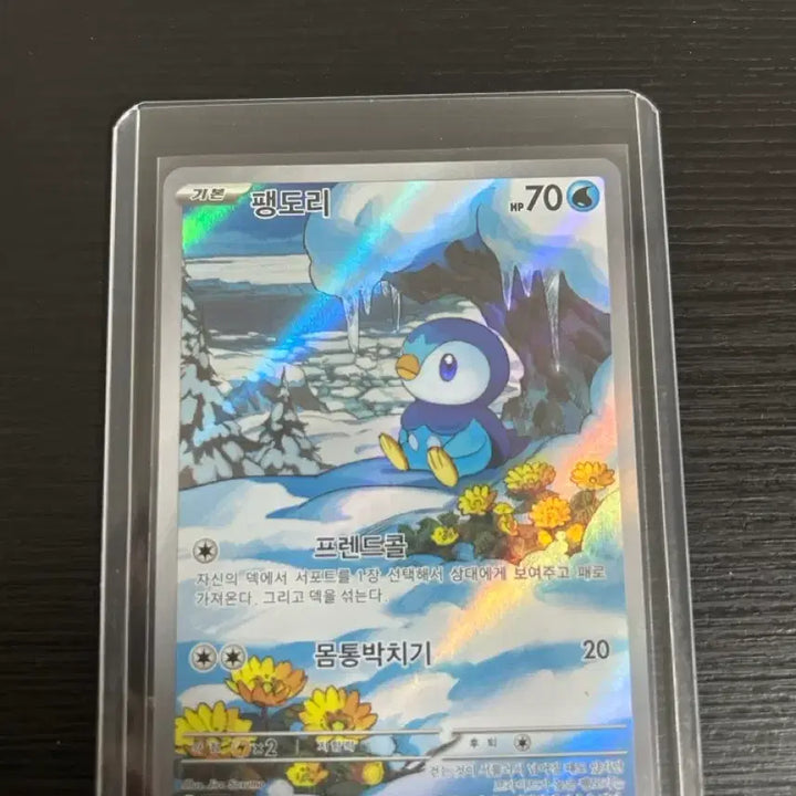 [BUNJANG] Torchic AR (InfernoX) Card / 팽도리 AR (인페르노X)