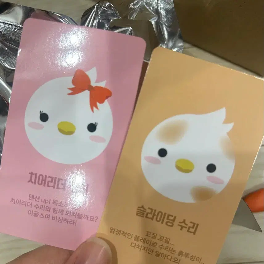 [SOLD OUT] 슬라이딩수리
