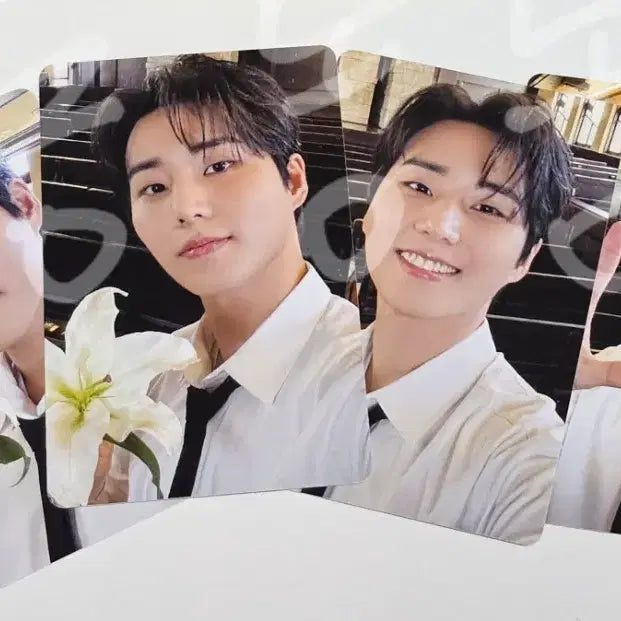 [BUNJANG] DAY6 Young K Dicon Type B Photocard / 데이식스 영케이 디아이콘 B타입 포카