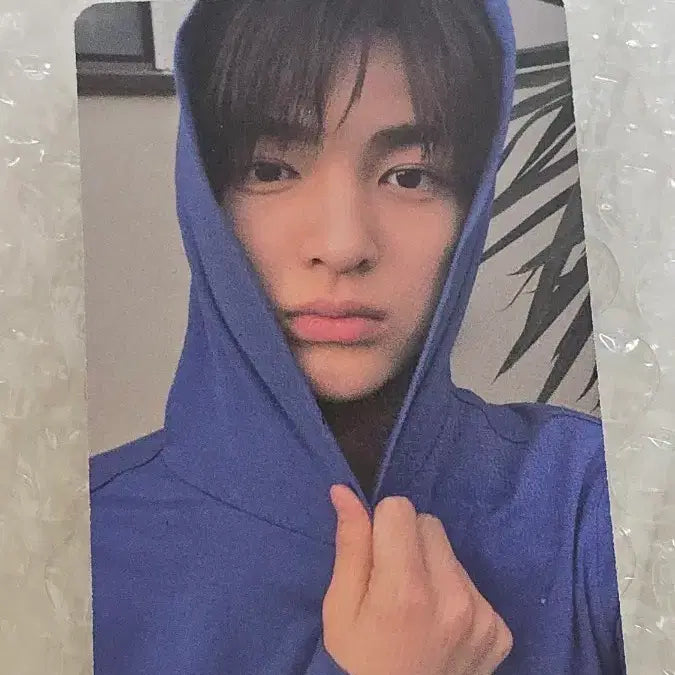[SOLD OUT] 건호 포카 코르티스