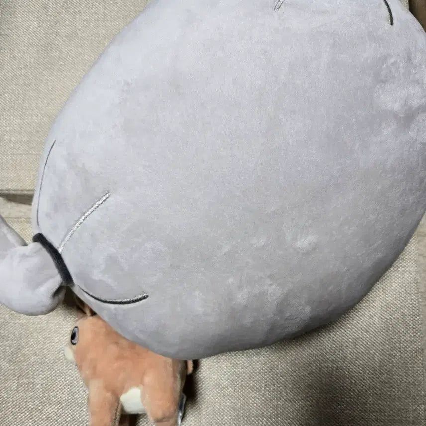 [BUNJANG] Bichan Ranian Doll + Cushion Bundle Set / 비챤 쿠션+라니인형 일괄 (이세돌 이세계아이돌 차세돌 마세돌 이세페 라니