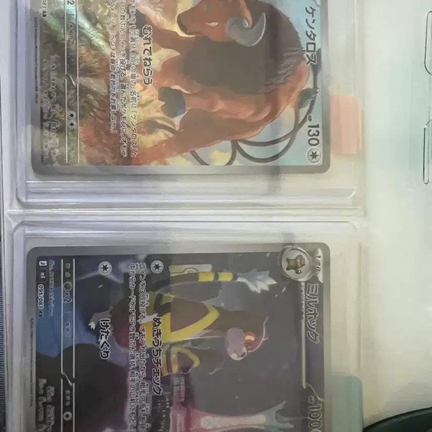 [BUNJANG] Pokemon Card Japanese AR / 포켓몬카드 일판 ar