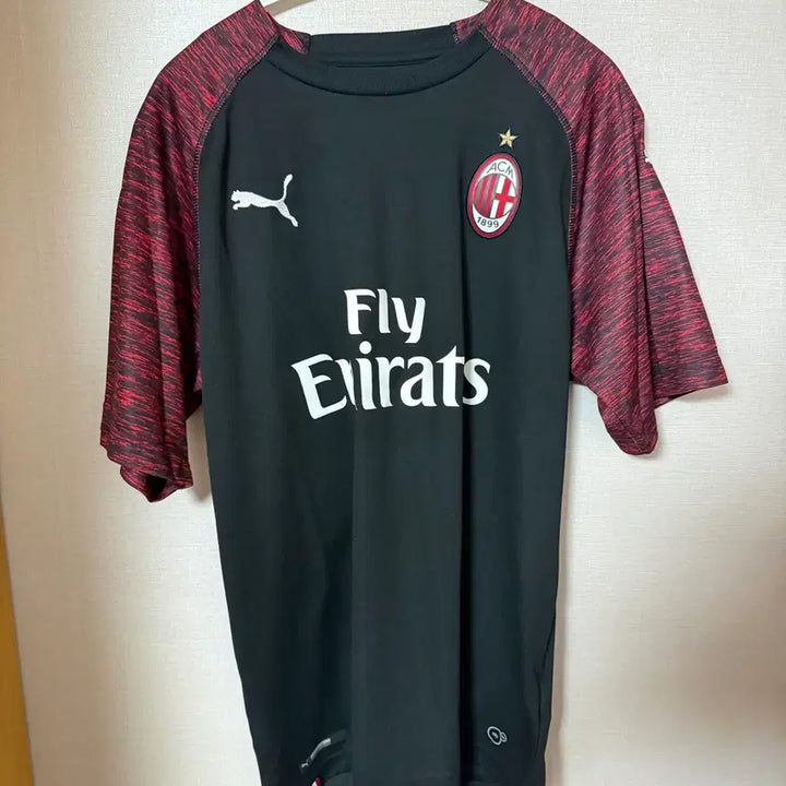 [BUNJANG] Puma AC Milan T-Shirt / 푸마 AC밀란 티셔츠