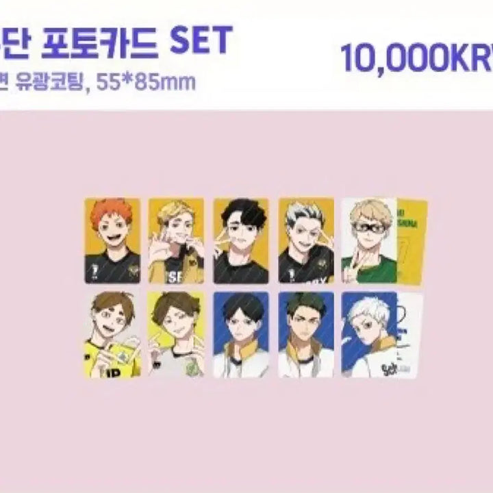 [BUNJANG] Sodabbi Haikyuu Team Uniform Photocard Set / 소다비님 하이큐 구단 포토카드 포카
