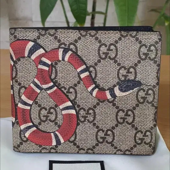 [BUNJANG] Gucci Snake Coin Wallet/Bifold Wallet / 구찌 스네이크 코인 지갑/반지갑 새상품급 정품(감정O)