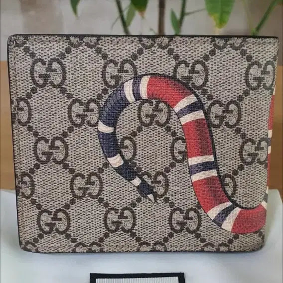 [BUNJANG] Gucci Snake Coin Wallet/Bifold Wallet / 구찌 스네이크 코인 지갑/반지갑 새상품급 정품(감정O)