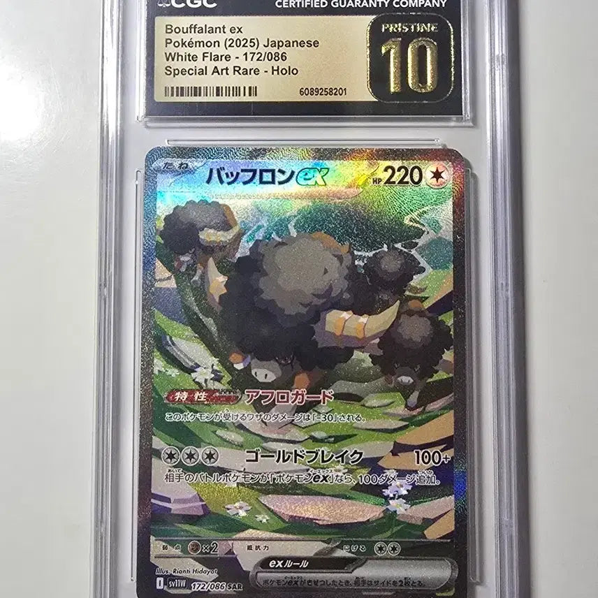 [BUNJANG] Pokemon Card Buffron SAR CGC Pristine / 포켓몬카드 버프론 SAR CGC PRISTINE