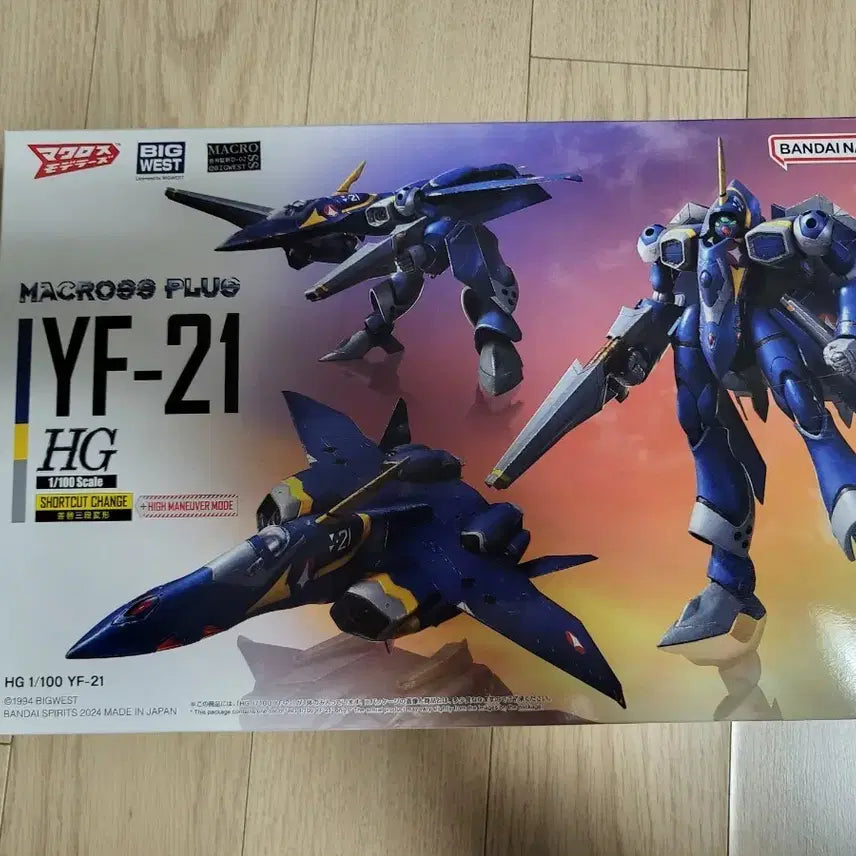 [BUNJANG] HG 1/100 YF-21 Model Kit / HG 1/100 YF-21 팝니다