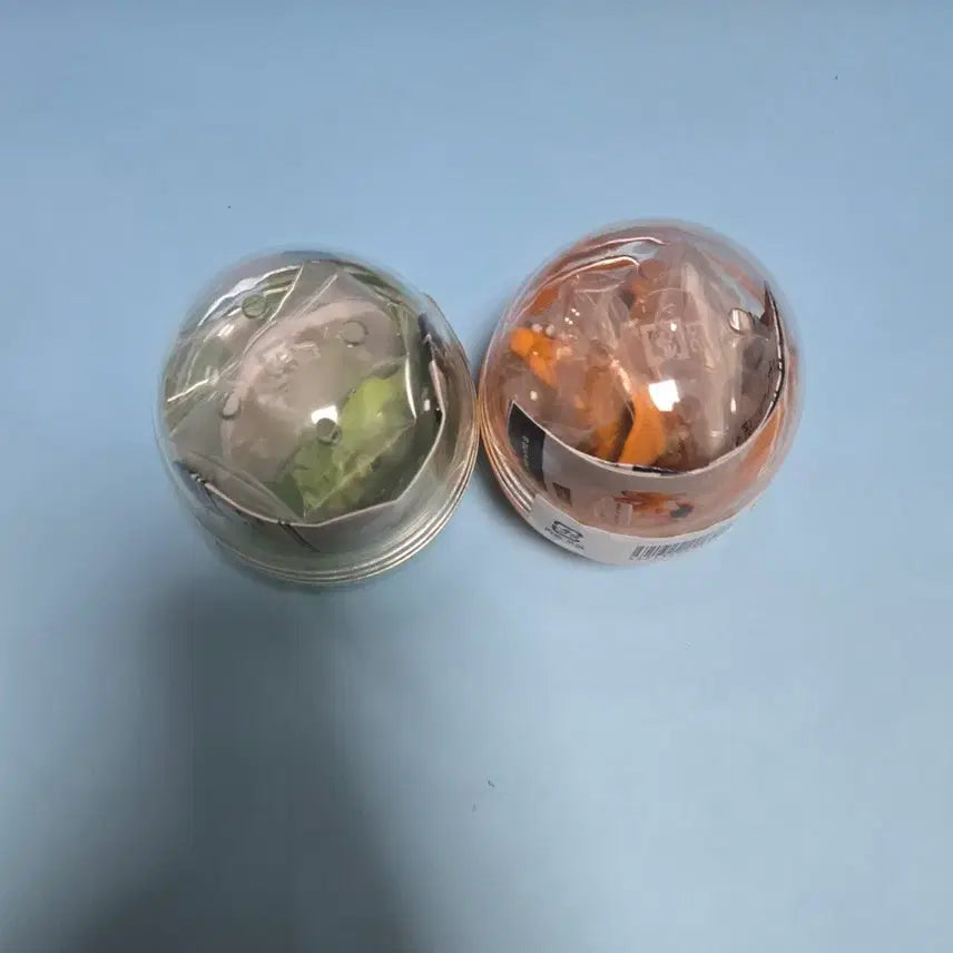 [SOLD OUT] 포켓몬 말을 듣지 않는다 리자몽+에버라스 일괄 (팝업 가챠