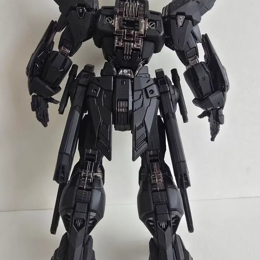 [BUNJANG] Jangryong Midnight Assembly Complete Model / 장룡(장용) 미드나이트 조립완성품 팝니다.