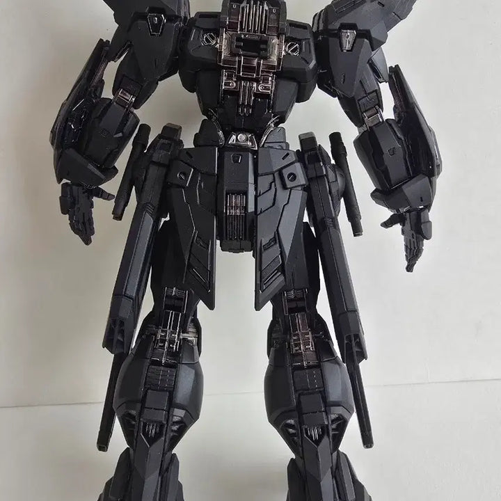 [BUNJANG] Jangryong Midnight Assembly Complete Model / 장룡(장용) 미드나이트 조립완성품 팝니다.