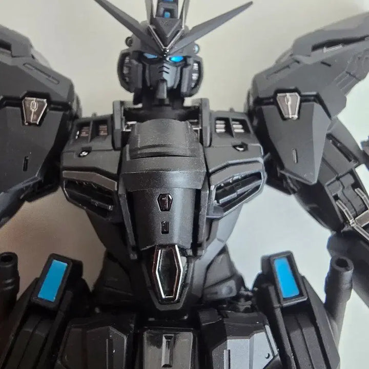 [BUNJANG] Jangryong Midnight Assembly Complete Model / 장룡(장용) 미드나이트 조립완성품 팝니다.