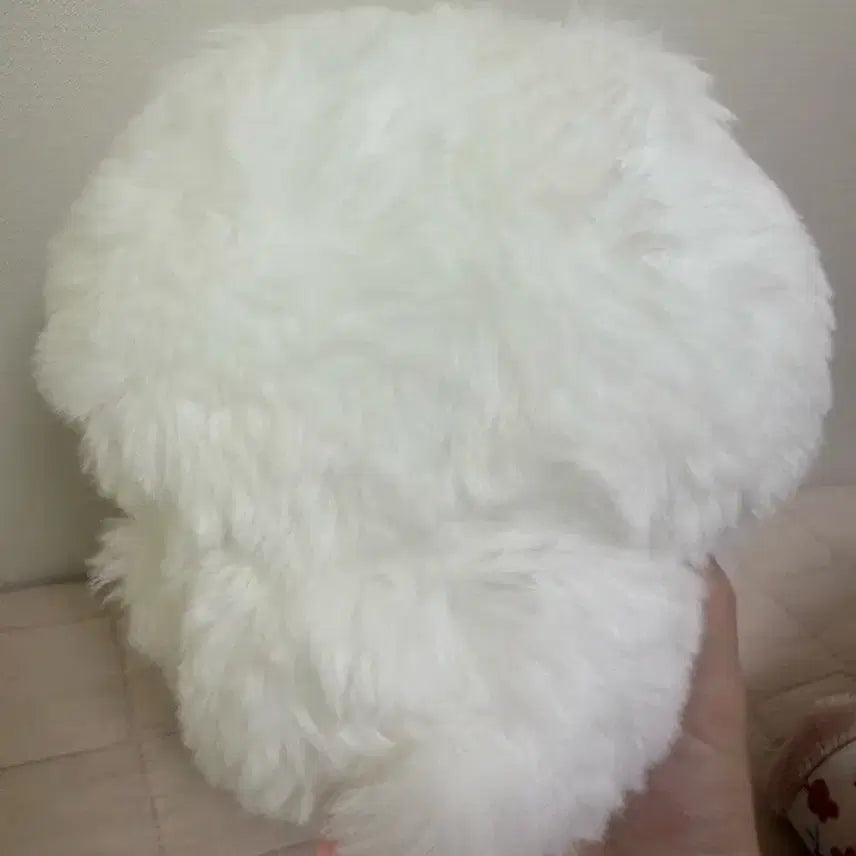 [BUNJANG] Chiiikawa Fluffy &amp; Sweaty Chiiikawa Plush / 털찐 치이카와 땀띠카와