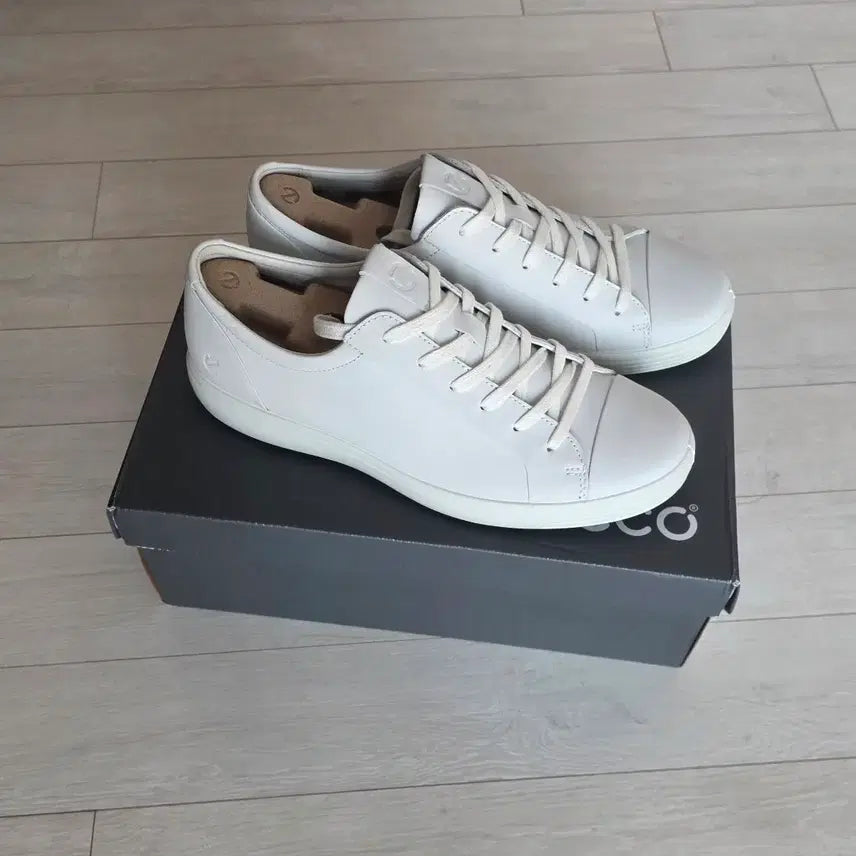 [BUNJANG] ECCO Sneakers New / 에코 스니커 새상품