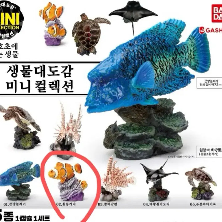 [BUNJANG] Creature Encyclopedia Mini Collection Clownfish Sealed / 생물대도감 미니 컬렉션 산호초에 사는 생물 흰동가리 미개봉캡슐 팝니다.