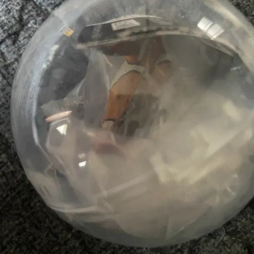 [BUNJANG] Creature Encyclopedia Mini Collection Clownfish Sealed / 생물대도감 미니 컬렉션 산호초에 사는 생물 흰동가리 미개봉캡슐 팝니다.
