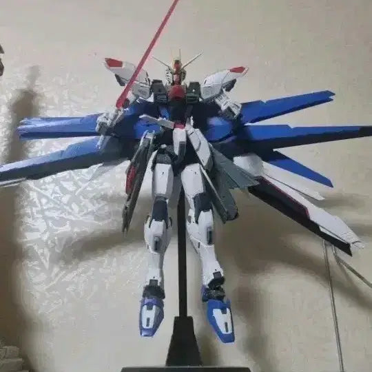 [BUNJANG] Gundam SEED Freedom Gundam Model Kit / 건담 시드 프리덤 건담 프라모델