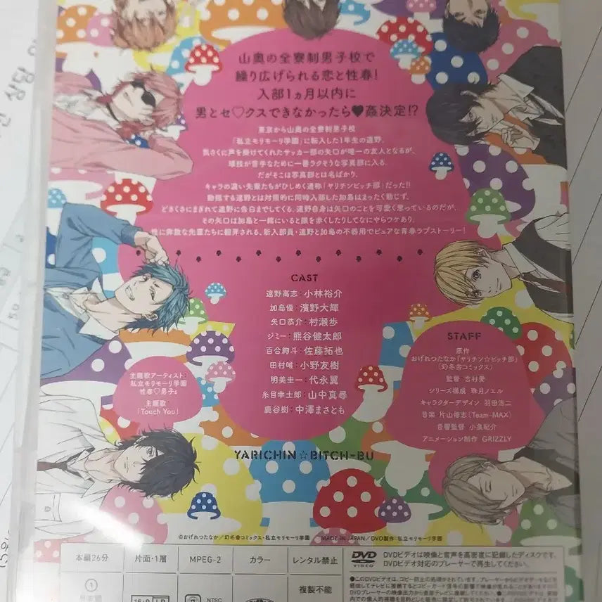 [BUNJANG] Yarichin Bitch Club DVD / 6/30까지) 야리칭빗치부 야리부 dvd 플레잉보이부