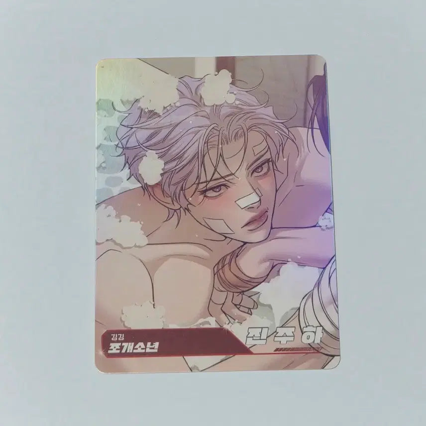 [BUNJANG] Resin AR Trading Card (Joo Ha) / 레진수 AR 트레이딩 카드 (조개소년 진주하)