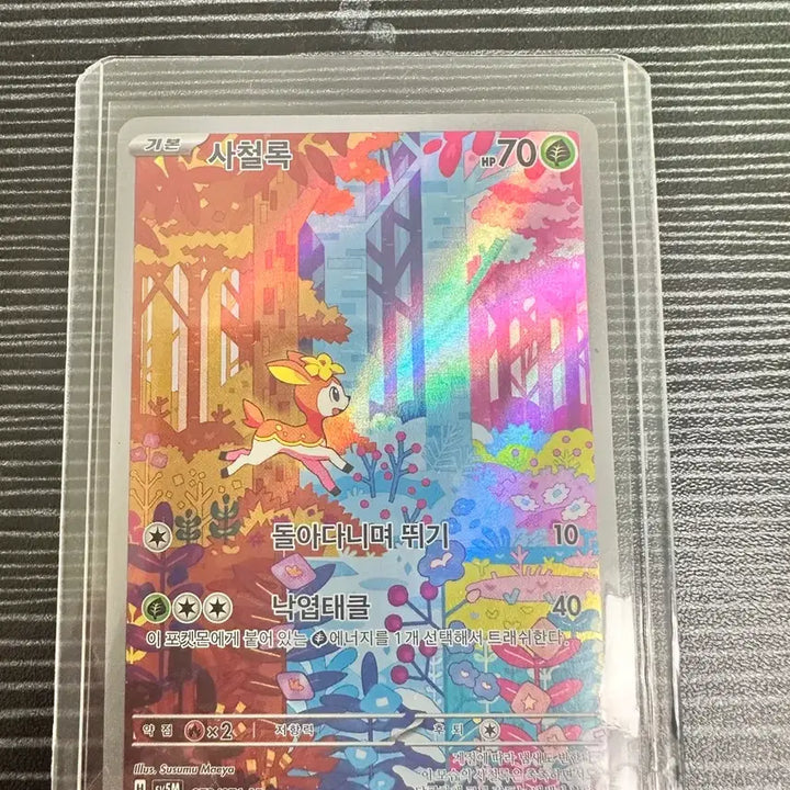 [BUNJANG] Pokemon Trading Card Collection / 포켓몬카드 모음