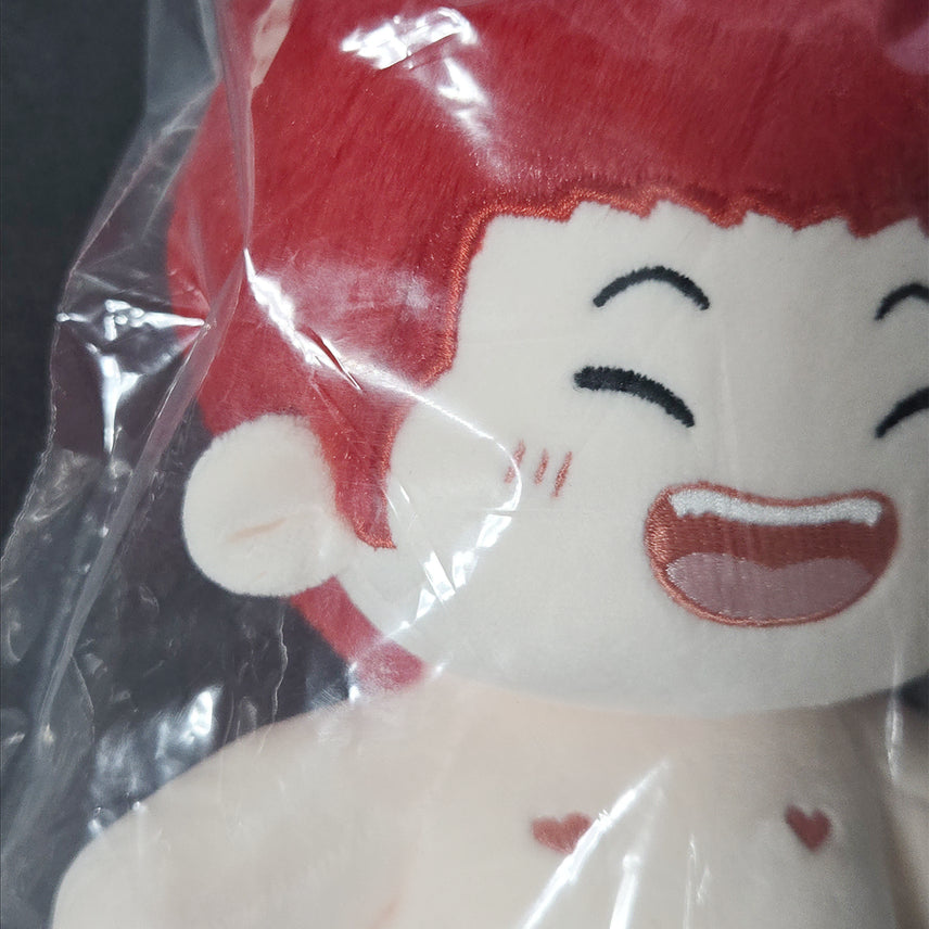 [BUNJANG] Slam Dunk Kaede Rukawa Custom 20cm Plush Doll / 슬램덩크 강백호 속성 솜 강백호 솜인형 20cm