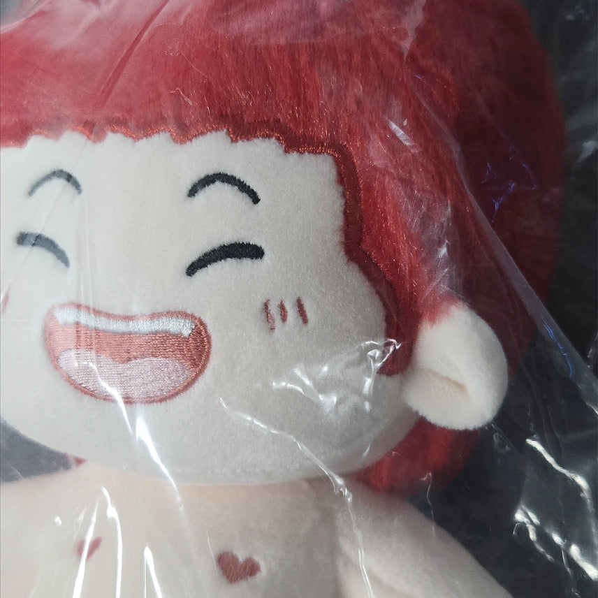 [BUNJANG] Slam Dunk Kaede Rukawa Custom 20cm Plush Doll / 슬램덩크 강백호 속성 솜 강백호 솜인형 20cm